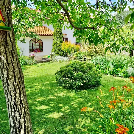 Green Garden *