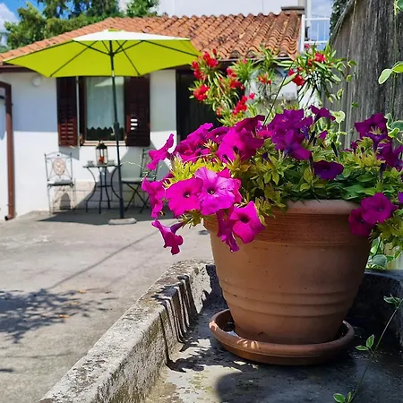 Green Garden Apartment Rijeka