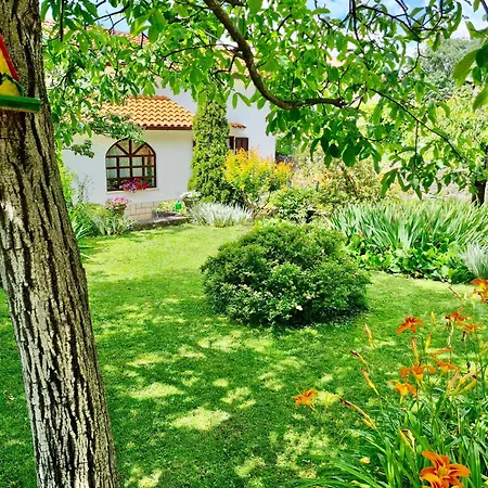 Green Garden *